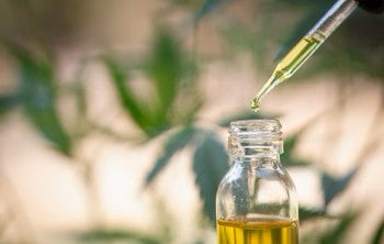 Rediscovering the Game-Changer: Planet Hemp'S Groundbreaking THCA-to-CBD Hemp Variety